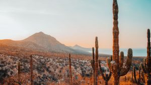 how-to-endure-your-childs-suffering