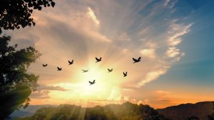 how-to-build-a-faith-that-overcomes-fear