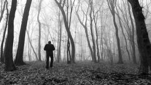 man lost in the woods