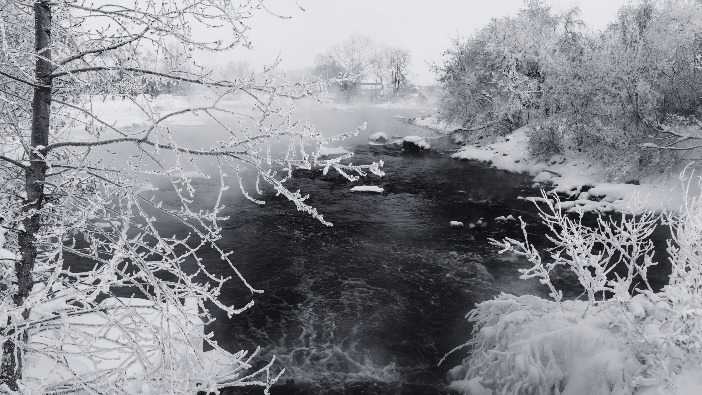 rushing river in a frosty forest