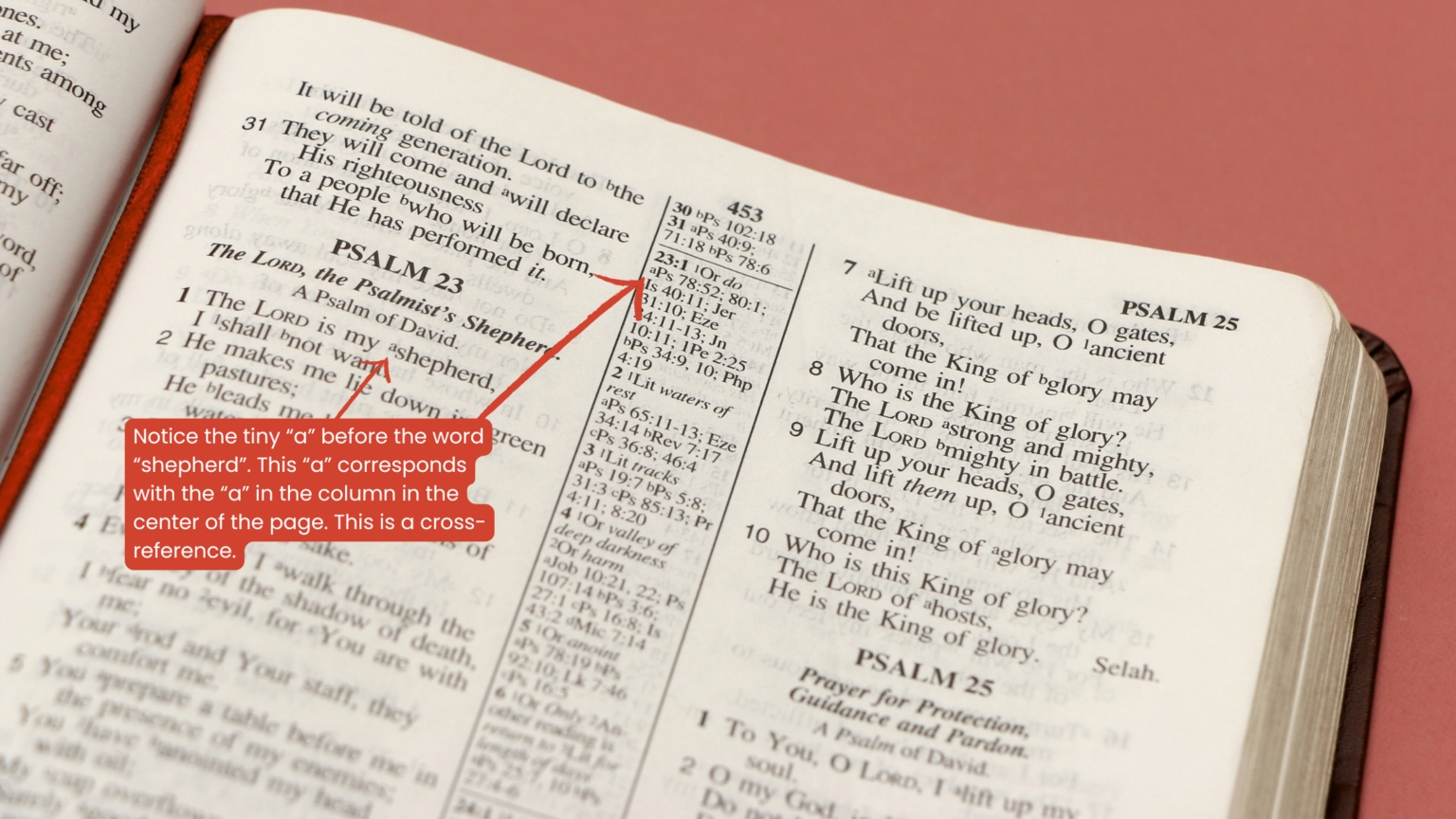 How To Use Cross References In The Bible Beginner Bible Study